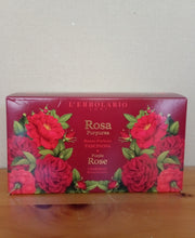 Carica l'immagine nel visualizzatore di Gallery, rosa purpurea