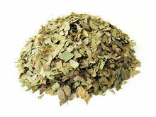 Carica l'immagine nel visualizzatore di Gallery, ginkgo biloba