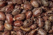 Carica l'immagine nel visualizzatore di Gallery, olio di ricino 100ml