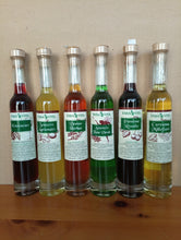 Carica l'immagine nel visualizzatore di Gallery, Liquori 100ml erbavita