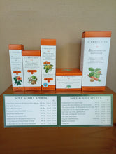 Carica l'immagine nel visualizzatore di Gallery, Solari