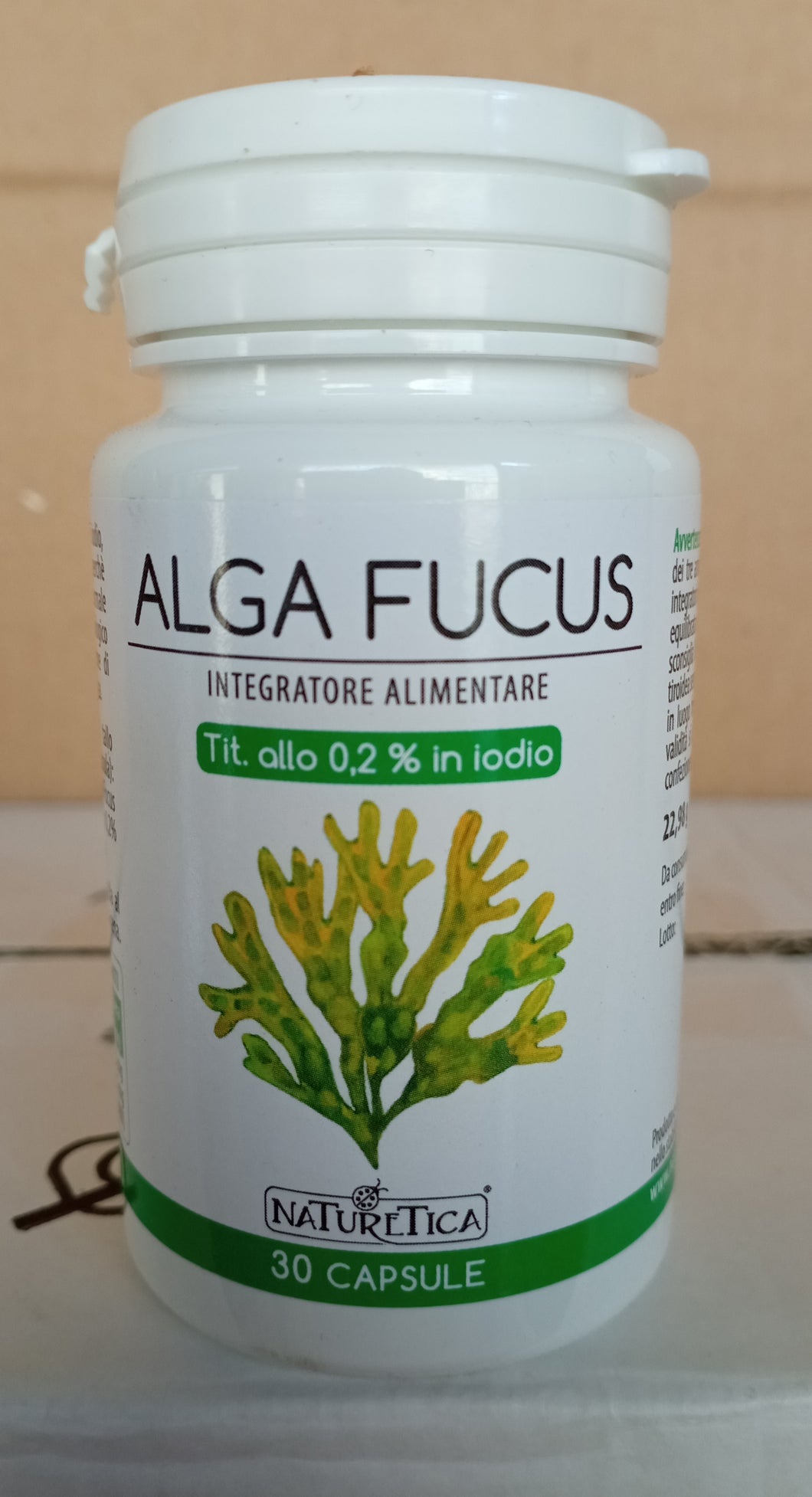 alga fucus compresse