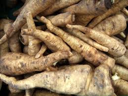 bardana radice 200g