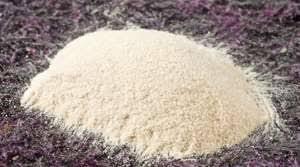 agar agar in polvere 200g